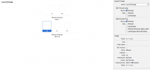 launchimage_sizes